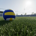 Summer Grass League (16+ Coed)